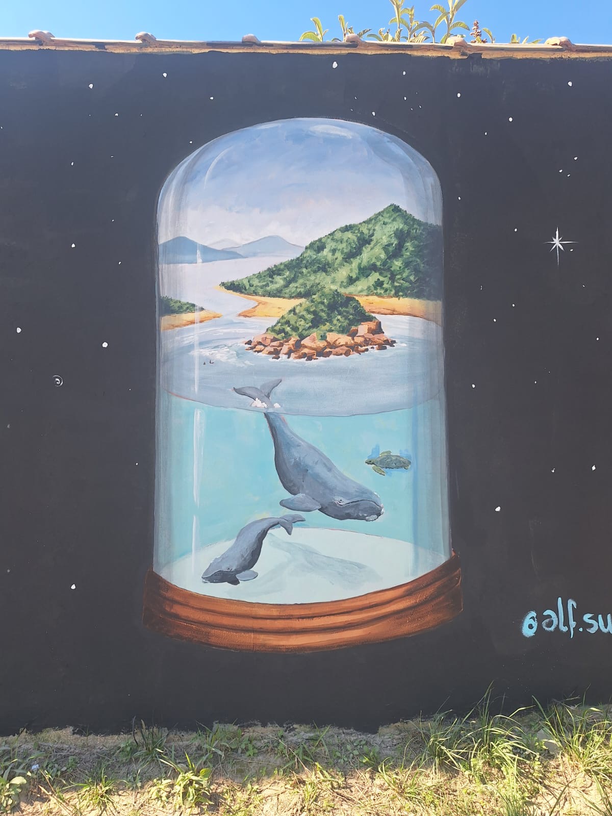 Encontro de Graffiti — 8