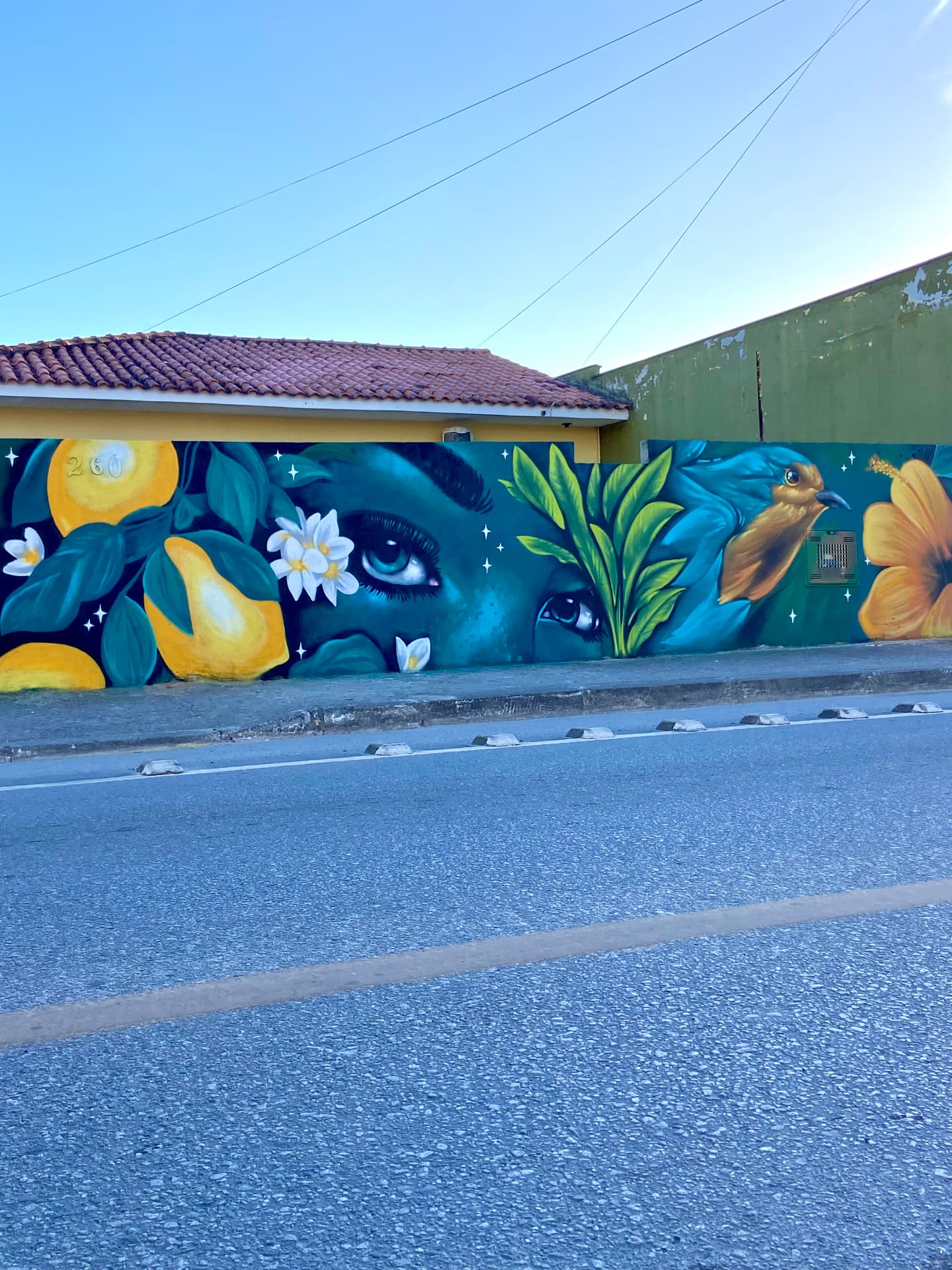 Cor e Arte — 5
