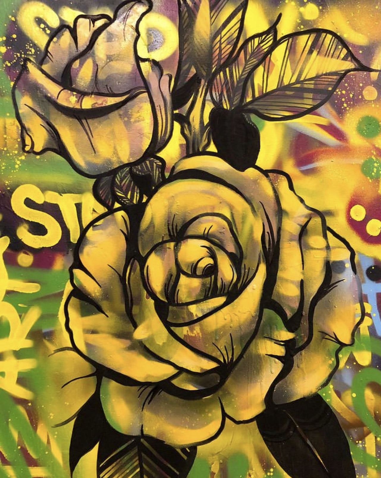Studio — Delicadeza Bruta